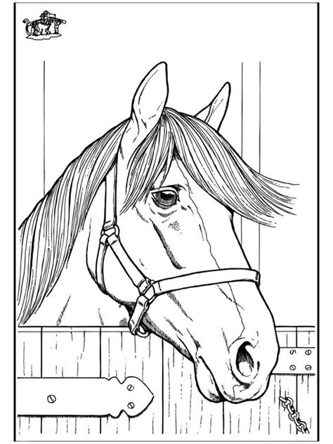 horses animal coloring pages  horse head  pinterest