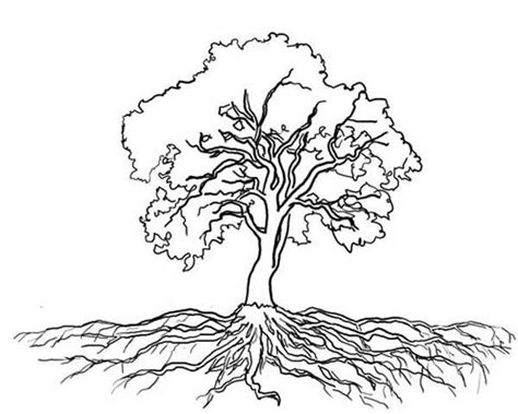 tree  roots coloring page body art pinterest roots