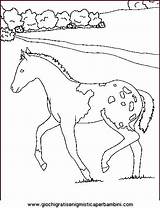 Coloriage Chevaux Cavalli Cheval Caballo Cavallo Gifgratis sketch template