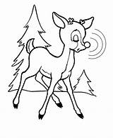 Reindeer Rudolph Coloring Pages Nosed Red Nose Christmas Rudolf Printable Kids Clipart Cartoon Print Flying Sheet Real Clip Holiday Cliparts sketch template