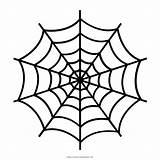 Web Spider Coloring Pages Color Print sketch template