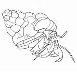Crab Hermit Coloring Coloringcrew sketch template