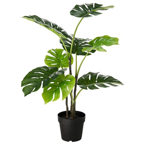 fejka artificial potted plant indooroutdoor monstera  cm  ikea