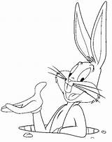 Bugs Bunny Coloring Pages Printable Filminspector sketch template