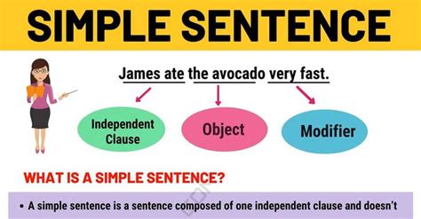 simple sentence examples  definition  simple sentences esl simple sentences