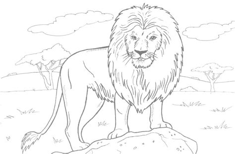 printable lion coloring pages elimu centre