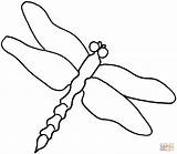 Ausmalbilder Dragonfly sketch template