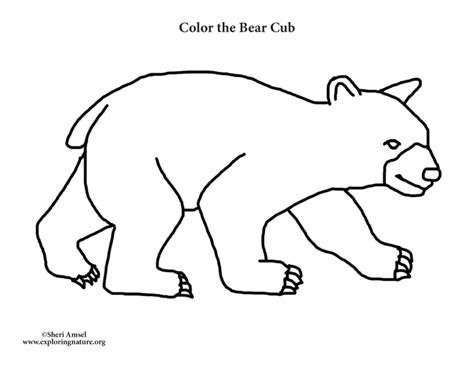 bear cub coloring nature