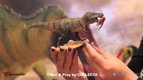collecta  rex prey youtube
