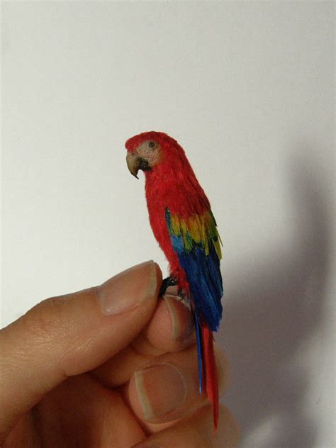 scale miniature parrot  anyastone  deviantart