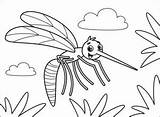 Mosquito Insetos Colorir Mosquitos sketch template