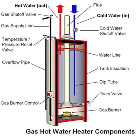 anatomy   tank type gas water heater