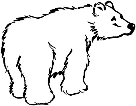 bear outline clipart