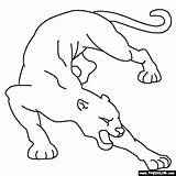 Coloring Pages Cougar Thecolor Animals Jungle Online Animal Color Rainforest Baby Kids Try Projects Sheets sketch template