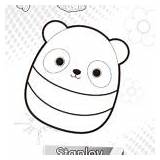 Squishmallows Coloring Pages Connor Xcolorings sketch template