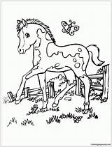 Horse Coloring Cute Pages Marvelous Pretty Amazing Color Print Getcolorings Printable Getdrawings sketch template