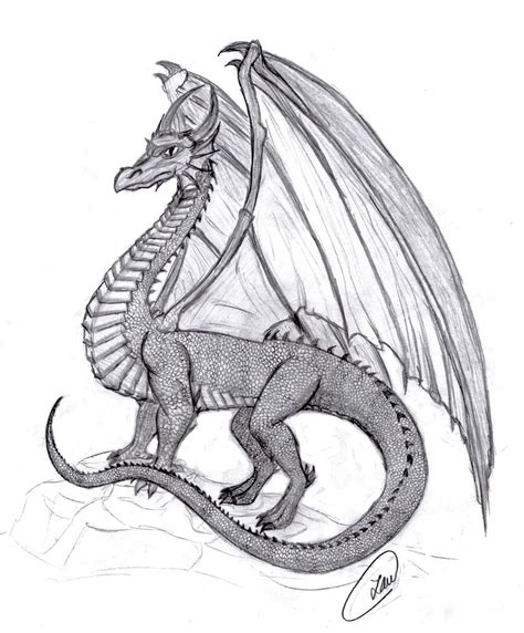 medieval dragon  lena bitty  deviantart