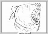 Grizzly Coloring Bear Bears Abcworksheet Marked sketch template