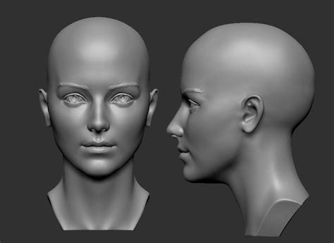 female head 5 3d print model 3d face model female head sculpting