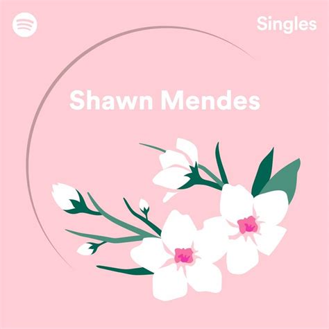 shawn mendes spotify singles lyrics  tracklist genius
