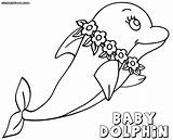 Dolphin Coloring Pages Baby Animal Print sketch template