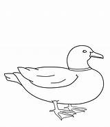 Duck Coloring Pages Kids Printable Printables Mallard Line Wood Print Drawing Ducks Template Drawings Colouring Bestcoloringpagesforkids Color Outline Draw Things sketch template