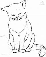 Mewarnai Kucing Kleurplaten Poezen Katzen Kleurplaat Katten Ausmalbilder Colorat Pisica Cu Pisici Bergerak Malvorlage Katze Planse Animierte Bewegende Animaties Gify sketch template