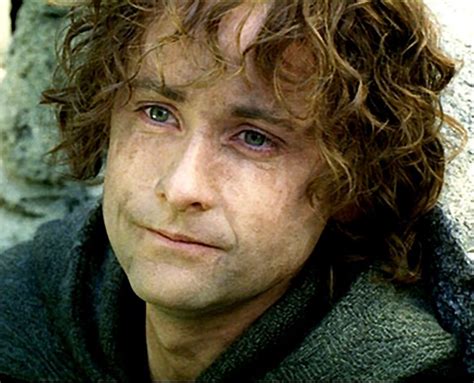 merry brandybuck  pippin  poll results lord   rings fanpop