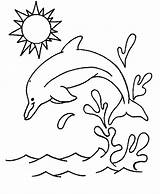 Dolphin Coloring Pages Printable Kids Jumping Sun sketch template