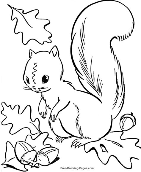 autumn coloring pages sheets  pictures