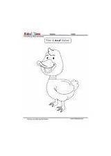 Duck Worksheet Kidzezone Tracing sketch template