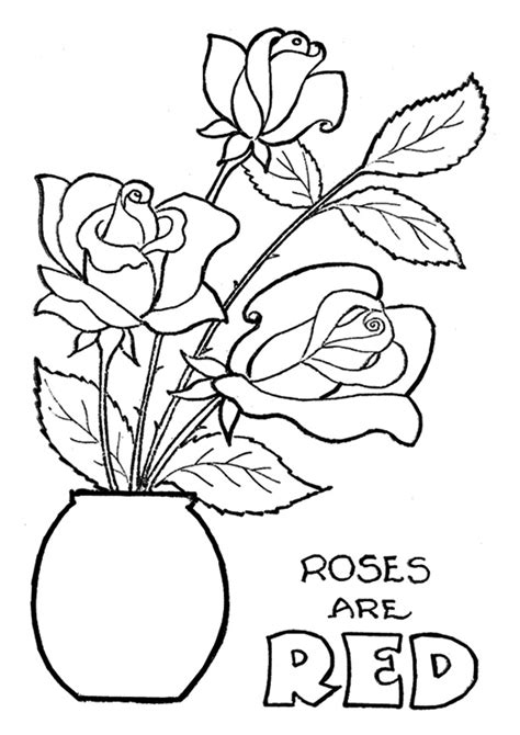 rose coloring pages books    printable