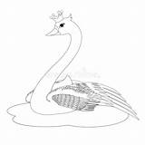 Swan Coloring Princess Book Stock Animal Preview Vector Dreamstime sketch template