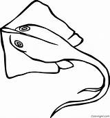 Stingray Ikan Arraia Sketsa Mantarraya Colorare Pari Raie Pesce Coloringall Laut Supercoloring Spada Poisson Coloringbay Elegante Sindunesia Stingrays Ciri Kepala sketch template