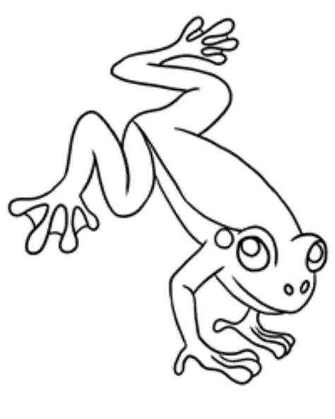 coloring page  frog frog coloring pages  coloring pages