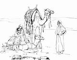 Desert Coloring Pages Camels Oasis Sahara Getcolorings Print Printables Printable Sketch Getdrawings Template sketch template