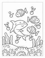 Fishes Verbnow Shark Corals sketch template