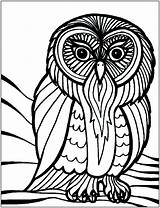 Coloring Birds Pages Owl Kids Outline Printable Print Cute Bird Drawing Color Cool Clipart Owls Adult Children Pattern Cartoon Template sketch template