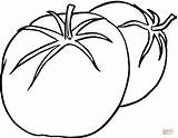Tomato Coloring Tomatoes Pages Outline Color Other Behind Plant Colouring Clipart Red Printable Tomate Tomatos Paradicsom Drawing Cliparts Fruit Lapunk sketch template