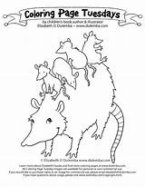 Possum Coloring Babies Tuesday Dulemba sketch template