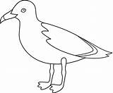 Seagull Clipart Outline Clip Gull Line Cliparts Seagulls Bird California Birds Drawings Easy Printables Drawing Printable Library Clipartbest Simple Clipground sketch template