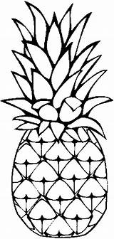 Pineapple Coloring Pages Cut Template sketch template