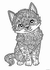 Coloring Zentangle Adult Pages Cat Cute Printable Color Book sketch template