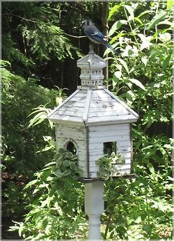 blue jay bird houses enchanted cottage bird houses painted