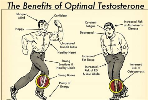 Testosterone Replacement Therapy Cost Dosage And How It