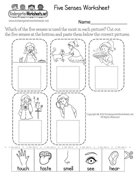 printable cut  paste  senses worksheet