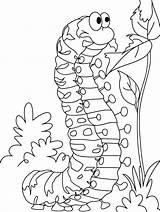 Caterpillar Chenille Orugas Satisfying Oruga Hunger Insect 10dibujos Colorier Designlooter Coloringbay Bestcoloringpages sketch template