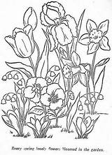 Flori Colorat Desene Planse Kolorowanki Kwiaty Wiosenne Colorir Crocus Desenhos Elf Plante Relier Coloriages Chomikuj Visitar sketch template