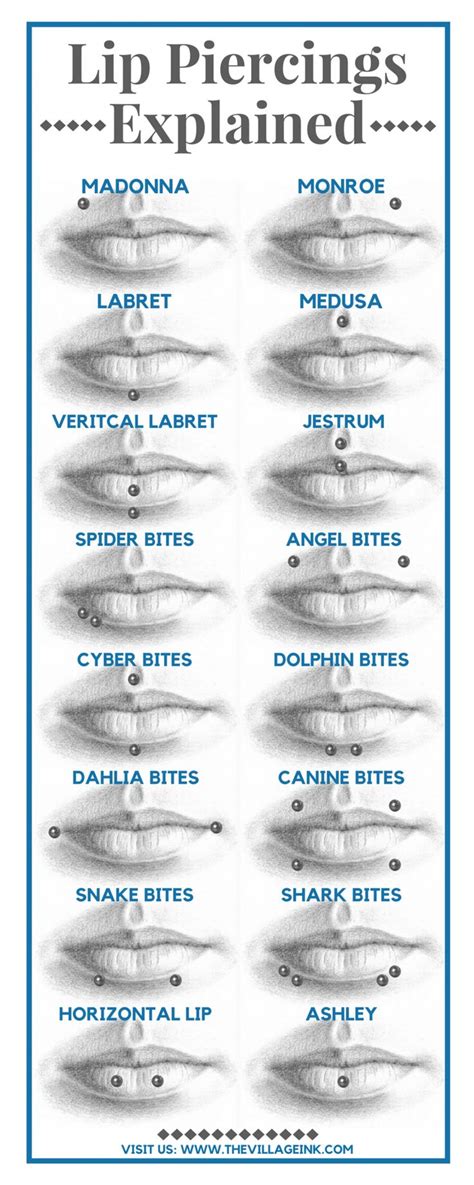 Lip Piercings Explained Visual Ly Lip Piercing Face Piercings