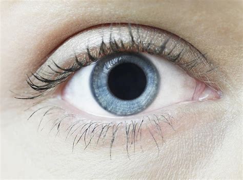 dilated pupil photograph  science photo library